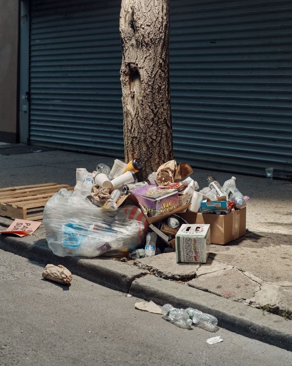 A torn-open bag of bottles and cans rests underneath a tree and next to a wood shipping palette.