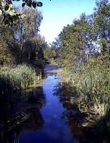 The Old Champlain Canal is still navigable by canoe. This is near Towpath Road in Kingsbury, New York. 
(Photo: champlaincanal.net)