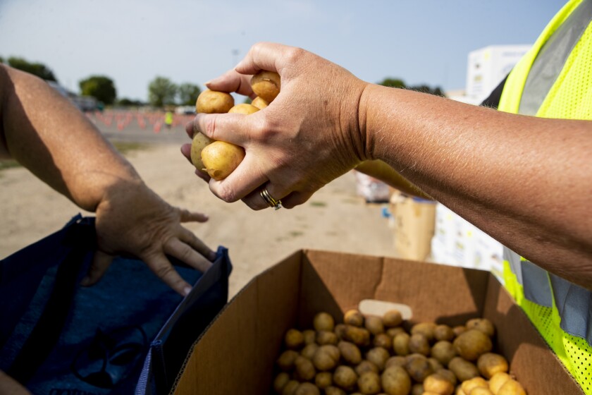 Produce distribution 002.jpg