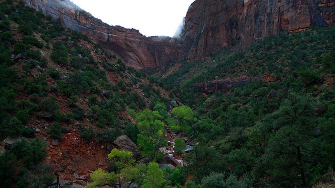Water flows down Pine Creek in Zion's National Park, a possible location where lost hikers might be on September 15, 2015 in Springdale, Utah. Seven hikers died after a flash flood that also killed several woman and children in two vans that were swept away by the flood waters.