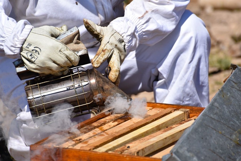 Honey factory in Taung North West