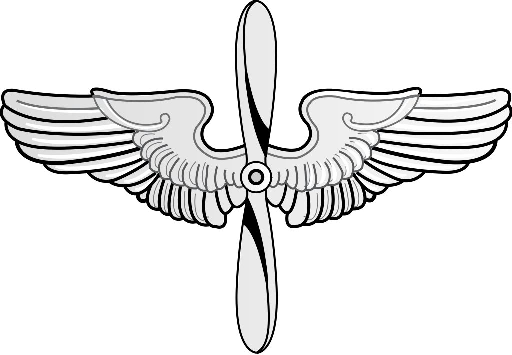 The symbol of the U.S. Army Air Service prior to the creation of an independent Air Force. (Image: Csquest99/wikipedia.org)