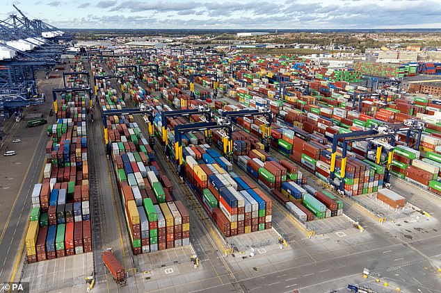 An aerial photo taken on October 30 showing huge piles of shipping containers that gathered at the Suffolk port