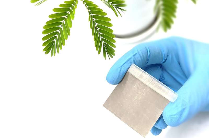 Inspired by Mimosa pudica leaves, the device intelligently selects the right thermal management mode by modulating its morphology. Credit: Quan Zhang A thermal management material that responds to heat or cold by folding or unfolding without need for power source