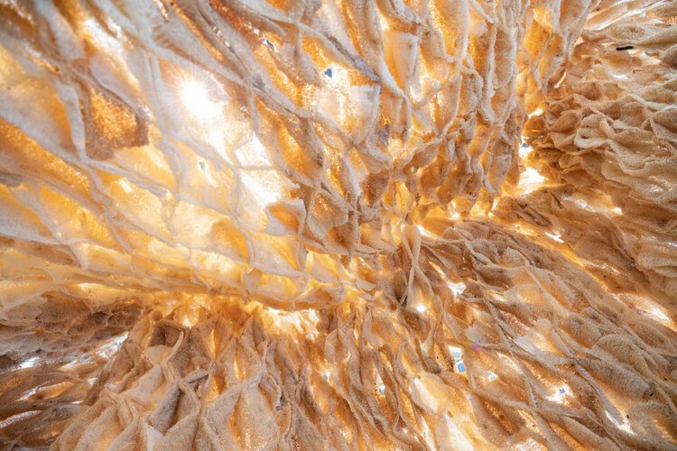 Environmentally Friendly Materials: 8 New Products To Reduce Carbon Emission - Image 1 of 20