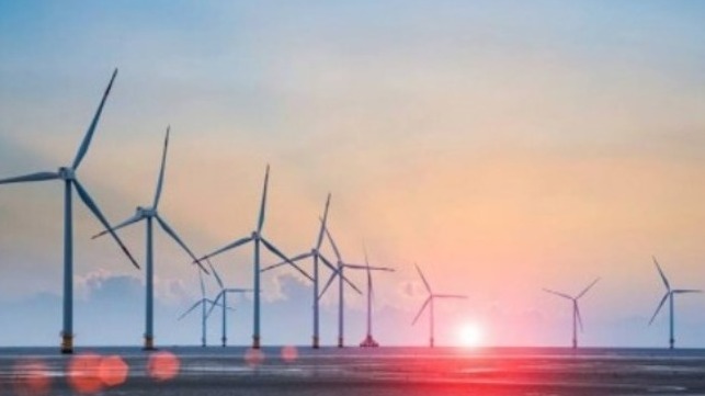 offshore wind farm development