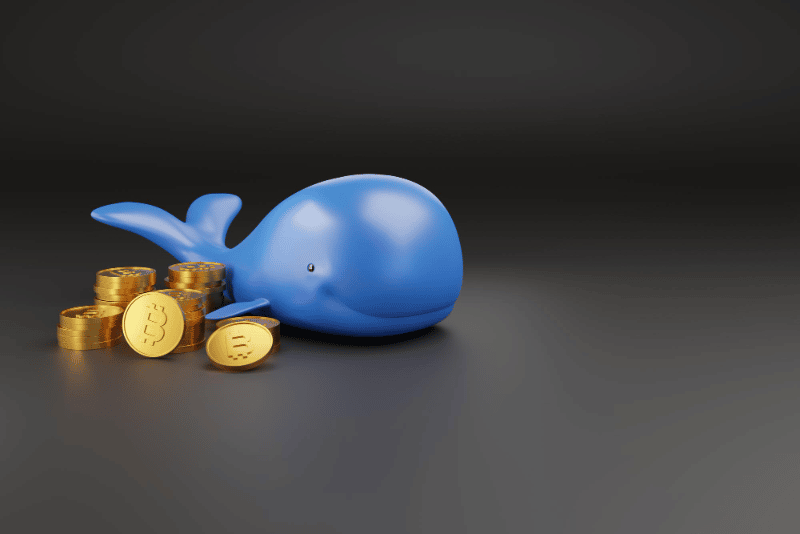 whale bitcoin wallet