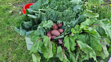 The veg bank includes fresh carrots, potatoes, cabbage and onions