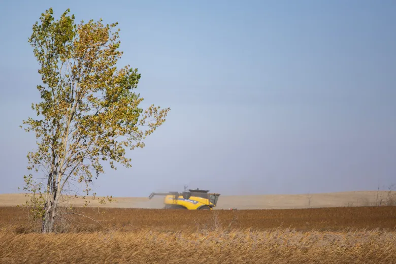 A combine drives through a field of wheat.