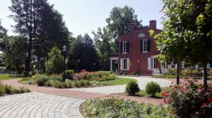 Photo of Buena Vista
