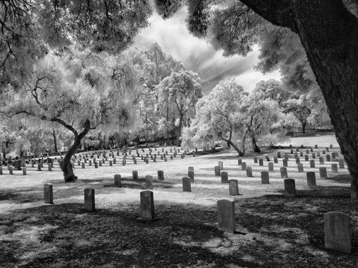 Mare Island Naval Cemetery. (Photo: Annetta Black/Atlas Obscura)