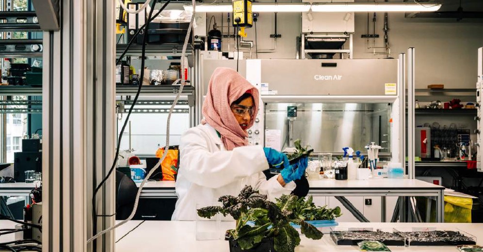 Beenish Siddique - AEH Innovative Hydrogel in lab with plants