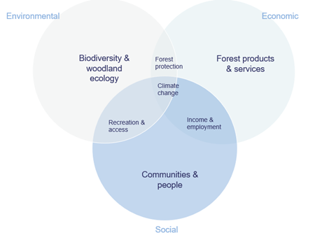 Graphic showing the sustainable forest management balanced objectives concept