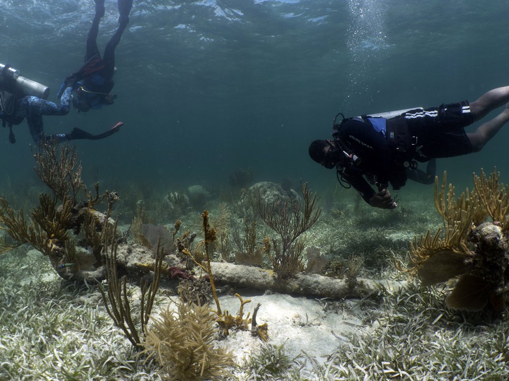 Divers examine an iron anchor believed to come from the British antislavery patrol ship H.M.S. Nimble, lost off the Florida Keys in 1827 while chasing the illegal Spanish slaver the Guerrero.